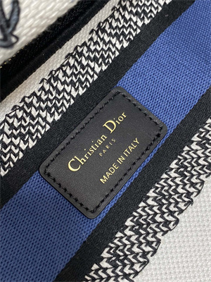 CD Medium Lady D-Lite Bag  Embroidery White&Blue