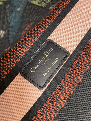 CD Medium Lady D-Lite Bag  Embroidery Black