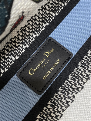 CD Medium Lady D-Lite Bag  Embroidery White