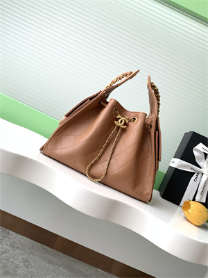 Chanel 25 Small Handbag Grained Calfskin Gold Tone Metal Brown AS5293