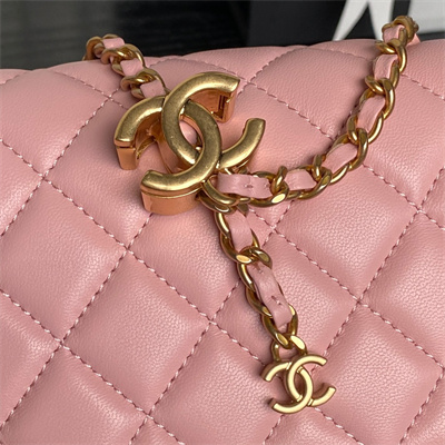 Chanel Small Flap Bag Lambskin Gold Tone Metal Pink AS5756