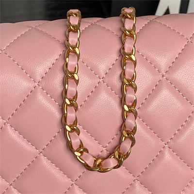 Chanel Small Flap Bag Lambskin Gold Tone Metal Pink AS5756