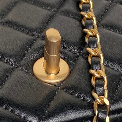 Chanel Mini Flap Bag Lambskin Gold Tone Metal Black AS5759