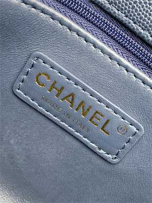 Cha.nel Small Coco Handle Bag Grained Calfskin Aged Gold Metal Navy A92990