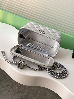 Chanel Vanity Case Grained Calfskin& Silver-Tone Metal Silver AP3940