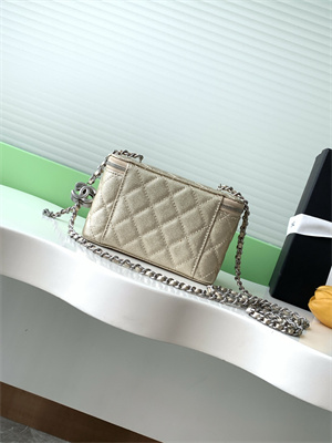 Chanel Vanity Case Grained Calfskin& Silver-Tone Metal Gold AP3940
