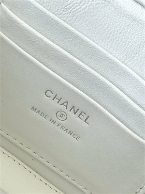 Chanel Vanity Case Grained Calfskin& Silver-Tone Metal White AP3940