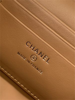 Chanel Vanity Case Grained Calfskin& Silver-Tone Metal Brown AP3940