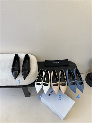 Celine Flat Pump 38968