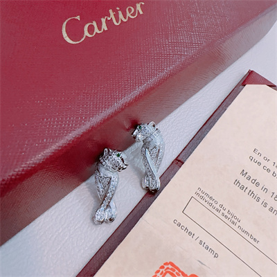 Cartier Earrings 38863