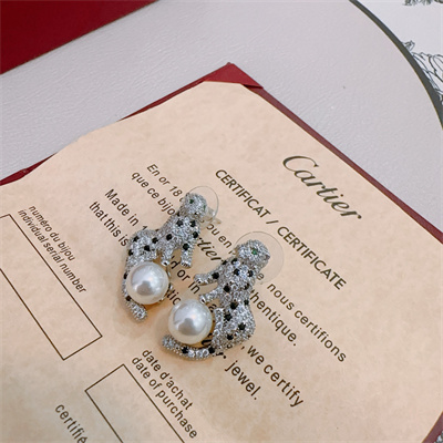 Cartier Earrings 38865