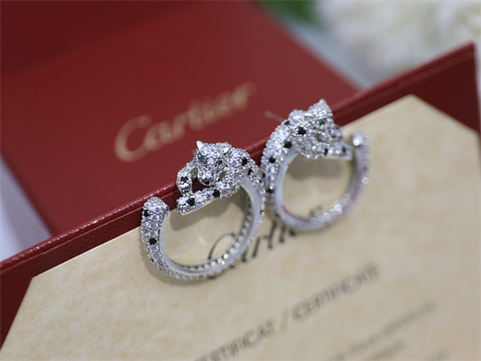 Cartier Earrings 38874