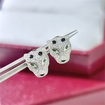 Cartier Earrings 38875