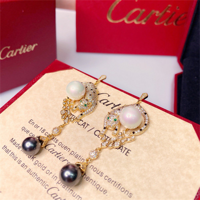 Cartier Earrings 38876