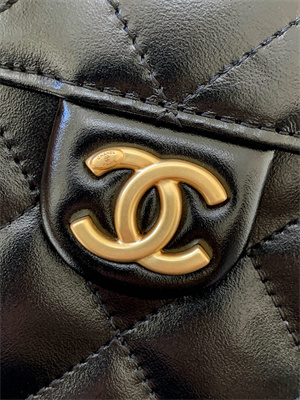 Chanel 25 Small Handbag Shinny Smooth Calfskin Gold/Silver Tone Metal Black AS5293