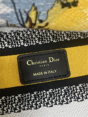 CD Medium Lady D-Lite Bag  Embroidery White/Yellow Multicolors