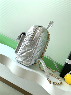 Chanel Backpack Calfskin Gold Tone Metal Silver AS5793