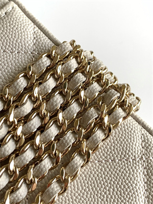 Chanel Long Vanity With Chain Grained Calfskin & Gold-Tone Metal White AP4933