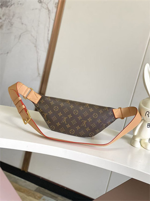 L.V Rush Bumbag Monogram Canvas M14019
