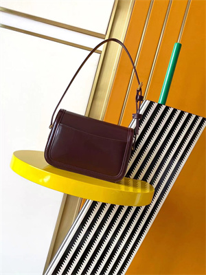 Y.S.L SOLFERINO Mini IN BOX SAINT LAURENT ROUGE CABERNET Color